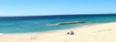 Apartamento Martina Zahara de los Atunes