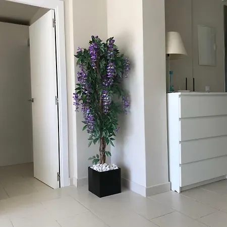 Apartment Martina *